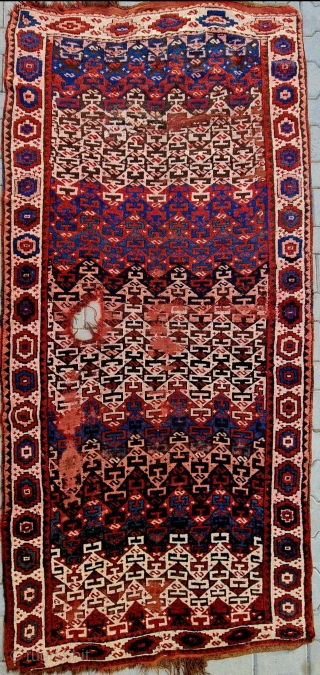 Size : 118x266 cm,
East anatolia , Kars (kagizman).                         