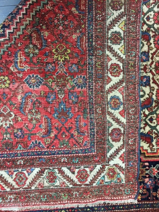 Antique Handmade Persian Bakhshayesh Rug,All in natural,good pile,soft and good Condition,lovely design,Clean,Wool&Cotton,Around 100 years old

Size:288cm by 168cm                