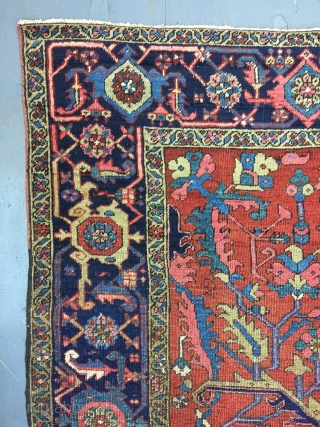 Antique Handmade Persian Heris Serapi Rug,all in natural,some old repairs,Clean,Attractive Design,Low pile,More than 100 years Old,Size:303cm by 235cm               