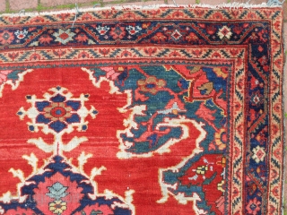 a Sultananad Rug, Central Persia, 140x210 cm (4.7x6.11 ft), beautiful colours, original with no repairs, slight losses to one end, good even pile. www.rugspecialist.com         