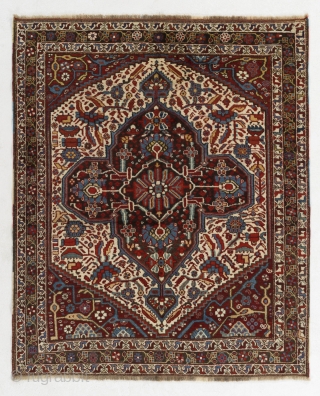 Antique Tribal Khamseh Rug from Southern Persia, ca 1900.   5'3" x 9'4" - 160x191 cm.  Very good condition, even medium pile.  no 4634      