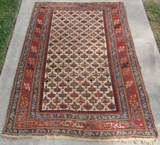 Fine Antique Caucasian Shirvan Rug, 170x122 cm (5.6x3.10 ft). The rug has no more than 1% restoration! please look at the last photo which is taken the day it was acquired, before  ...