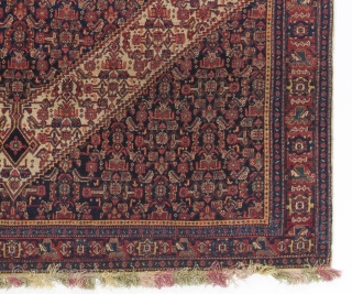 Fine Antique Persian Senneh Rug with colorful fringes. 4.3 x 6.7 ft (130x201 cm). Very good condition, original as found.             