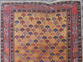 Caucasian Shirvan Rug, 194x97 cm (6x3.3 ft), 19th Century.                        