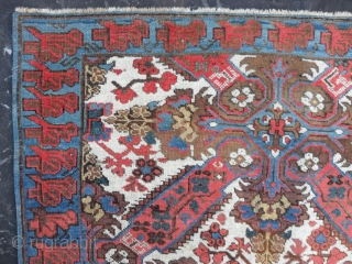 Caucasian Seichur Rug, 156x105 cm, Perfect Condition, soft floppy handle, great wool and beautiful colours, original proportions. 19th century. www.rugspecialist.com             