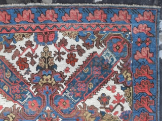 Caucasian Seichur Rug, 156x105 cm, Perfect Condition, soft floppy handle, great wool and beautiful colours, original proportions. 19th century. www.rugspecialist.com             