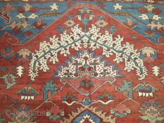 Persian Bakshaish 10 x 11'9'' / early 20th century

https://jdorientalrugs.com/antique-bakshaish-rug/id/7924                        