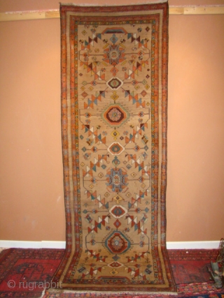 Bakhshayesh runner. Size: 3'5" X 10'7" or 104 X 321 Cm.
Great condition with minor restoration at the ends and sides.             