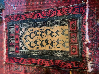 Unusual Baluch Prayer rug with Caravan of camels on a camel wool ground. Please Contact by emailing antiquerugs@comcast.net 
              