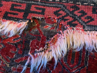 Unusual Baluch Prayer rug with Caravan of camels on a camel wool ground. Please Contact by emailing antiquerugs@comcast.net 
              