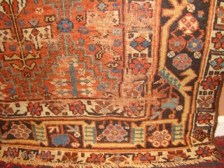 NW Persian Kurdish long rug. 3'10"X8'4"                           