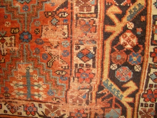 NW Persian Kurdish long rug. 3'10"X8'4"                           