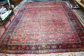 Kashan Carpet with cloudbands, 11'X16' 335X488 cm All intact with wear in the field and pet stain in the corners.             