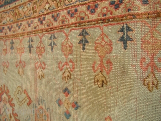 Large antique Ushak carpet 13'X17'9" ... 394X541 cm.                         