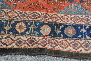 Kurdish Kelleh, Long Rug, Carpet with good pile and some small holes as shown. Wool foundation. Size: 5'7"X10'6" OR 170X320 cm            