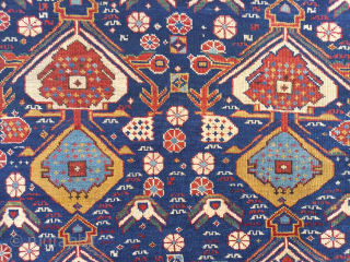 Caucasian Shirwan 150 x 120 cm 

19th century 1880 circa

www.anatoliantappeti.com

info@anatoliantappeti.com
                       
