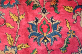 Indo Kashan carpet, 11' x 15', beautiful magenta field. Nice silky feel.  Circa 1900.                  