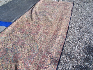 A very nice overall pattern early 20th Century Kirman carpet.  The carpet is in nice condition.  It measures 9'x15'.            