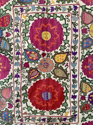 A fabulous and vibrant antique Uzbek silk embroidered suzani from Shahrisabz region dating between 1900- early 1920’s. It has beautiful chain stitch silk embroidery on a cotton ground fabric. The design is  ...