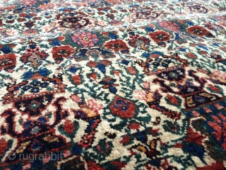 Zil-i-Sultan rug in practically mint condition, with lustrous thick pile. Mid-20th Century, 200 x 150cm/ 6'7 x 4'11.               