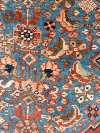 From an English estate, a late nineteenth century Qashqai or Khamseh rug, in generally good condition but in need of a wash. Friendly price.         