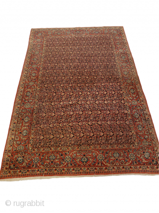 Origin: Dabir-Kashan;
Circa: 1920;
Size: 6'8" x 10'2"

This beautiful rug was hand woven in Kashan-Dabir. The Dabir rugs are known for their fine quality and excellent work. They generally have the all over thin  ...