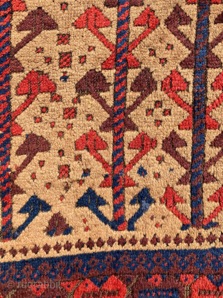 Small camel field Baluch rug. All natural dyes. Size:50 x 32 inches.                     