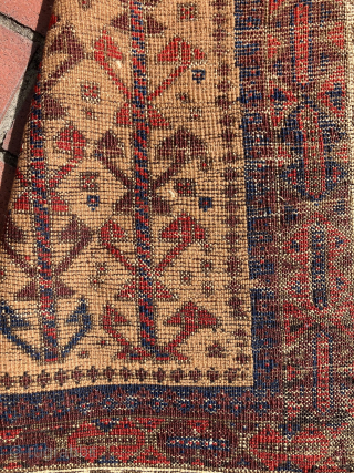 Small camel field Baluch rug. All natural dyes. Size:50 x 32 inches.                     