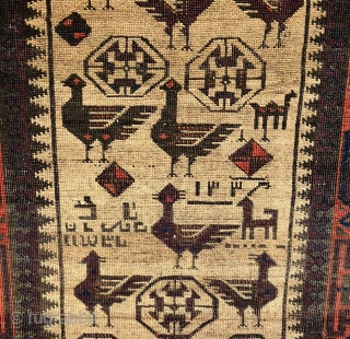 Antique Khorasan area Baluch rug with large birds on a natural camel hair field. All dyes in the rug are natural with a very saturated deep aubergine is that quite nice. This  ...