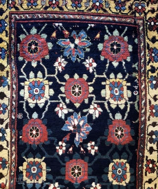 Dramatic Mina Khani designed long rug fragment.  Kurdistan, Kol 'Yai area.  Full pile - lower end border missing.  Beautiful color and wool.  Strong.  42 x 151 inches  ...