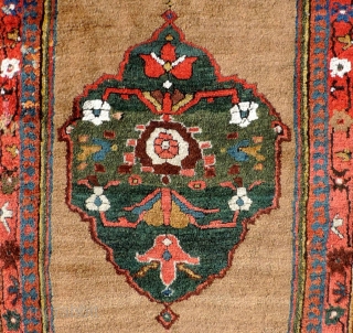 This is a very good, lush, old Kurdish rug of the 19th century. It has full pile throughout with a beautiful natural camel hair field. Great colors including very interesting shades of  ...