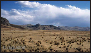 Aymara Indians. To live this high and weave this beautifully is truly remarkable! 12,500 ft. above sea level is the base elevation of the Altiplano region of Bolivia. This makes it the  ...