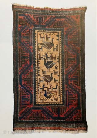 Antique Khorasan area Baluch rug with large birds on a natural camel hair field.  All dyes in the rug are natural with a very saturated deep aubergine is that quite nice.  ...