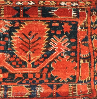 Middle Amu Daria turba with palmette design.  19th Century.  Vibrant reds, but good dyes. White cotton used in pile and wefting.  Warps dark brown goat hair.  Knots open  ...