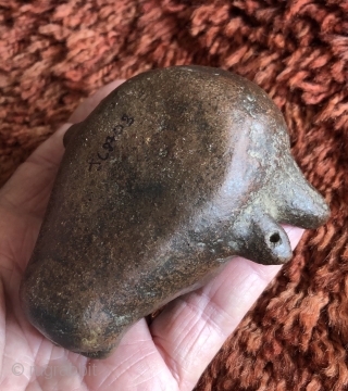 This unusual small cow head shaped ceramic is probably a variant type of libation vessel associated with the Animal Increase Rite.  I have not seen anything quite like it before.   ...