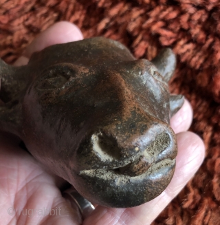 This unusual small cow head shaped ceramic is probably a variant type of libation vessel associated with the Animal Increase Rite.  I have not seen anything quite like it before.   ...