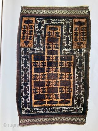 19th century Baluch prayer rug with a very unusual dyed camel field.  The "apricot" colored camel field is quite attractive. It must be the result of a light madder dye bath  ...