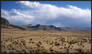 Aymara Indians. To live this high and weave this beautifully is truly remarkable! 12,500 ft. above sea level is the base elevation of the Altiplano region of Bolivia.  This makes it  ...