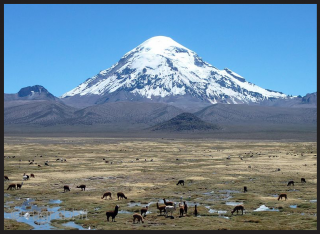 Aymara Indians. To live this high and weave this beautifully is truly remarkable! 12,500 ft. above sea level is the base elevation of the Altiplano region of Bolivia.  This makes it  ...