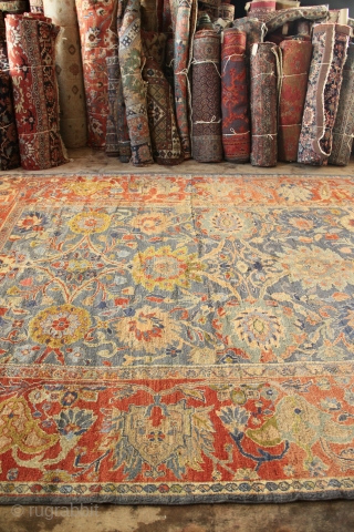 Full pile, original condition antique Ziegler & Co carpet 290 x 486cm / 9'6" x 16'0"
LARTA at the Batterse Decorative FAIR January 23-28 contact for free ticket      