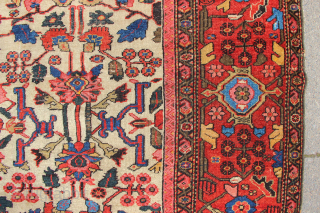 Antique Fereghan carpet in an unusual size of 10'2" x 10'4" / 310 x 315cm with sparkling colours and very good, original condition. Please contact me at jamescohen50@hotmail.com for price and more ...