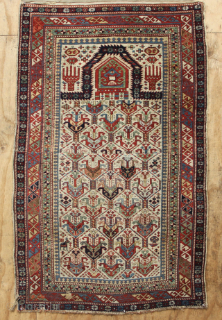 Mid 19th century fine Shirvan prayer rug, with beautiful colours, surface and structure. Cut and shut through the middle and missing about 5 cm/2 inches. 95 x 151cm / 3'1" x 5'1"
However,  ...