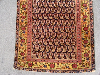 Fabulous quality Antique North West Persian runner circa 1860. 5m x .95m or 16'3" x 3'2". The best quality of wool, soft and glossy yet prickly to the touch when brushed against  ...