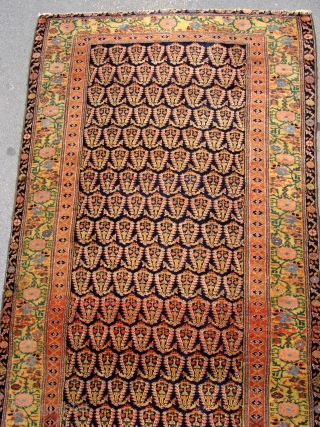 Fabulous quality Antique North West Persian runner circa 1860. 5m x .95m or 16'3" x 3'2". The best quality of wool, soft and glossy yet prickly to the touch when brushed against  ...