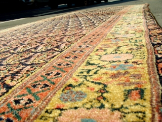 Fabulous quality Antique North West Persian runner circa 1860. 5m x .95m or 16'3" x 3'2". The best quality of wool, soft and glossy yet prickly to the touch when brushed against  ...