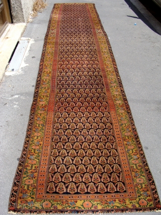 Fabulous quality Antique North West Persian runner circa 1860. 5m x .95m or 16'3" x 3'2". The best quality of wool, soft and glossy yet prickly to the touch when brushed against  ...