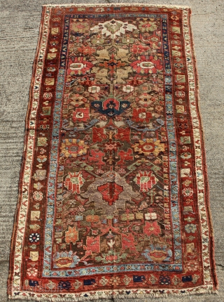 Mid 19th century Saul Bulagh Rug 130 x 244cm / 4'3" x 8'0"                    