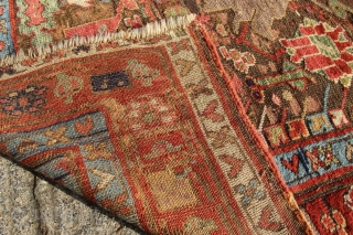 Mid 19th century Saul Bulagh Rug 130 x 244cm / 4'3" x 8'0"                    