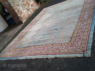 Large Agra carpet, late 19th.century/c1900, pale blue field with allover boteh, nice condition (except for small hole in centre, radiator cut and  small touch of moth at one end) needs a  ...