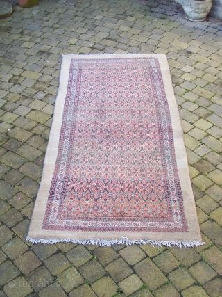 Serab/Bakshaish long rug- North-West Persian, camel ground with field having allover flowerhead lattice enclosed by flowerhead (carnation) and diagonal main border with reciprocal 'Y' guards. Colours: camel, red, green, indigo, blue, pink,  ...